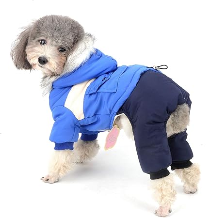 chihuahua clothes amazon