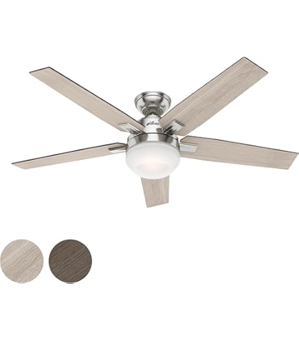 チンバウ  CONTEMPORANEA Amazon.com: Hunter Fan 54 inch Casual Brushed Nickel Indoor