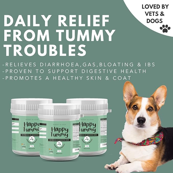 buddy and lola happy tummy