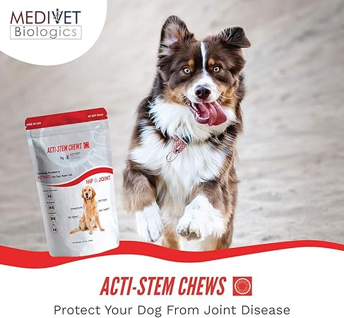 medivet probiotic digestive balance for dogs