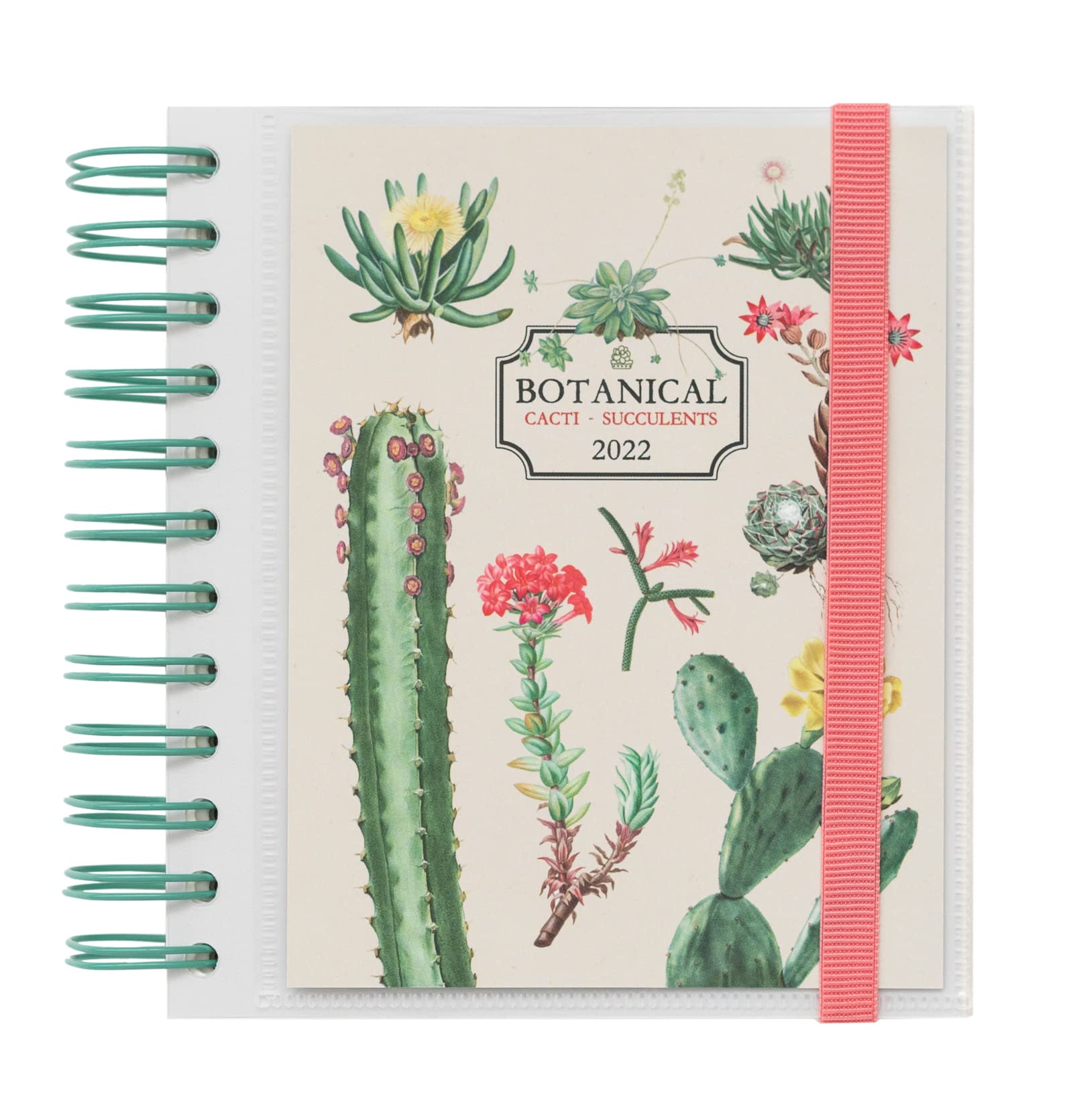 Grupo Erik Official Botanical 2022 Diary Day To Page - 12 Months Planner January 2022 - December 2022 - Botanical Diary 2022 Daily Planner, Botanical Green, AAEDPM2202