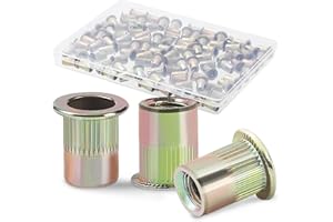 CARLWIN Premium Rivet Nut, 100pcs 1/4"-20 Rivet Nuts, Carbon Steel Flat Head Rivnut, Zinc Finish