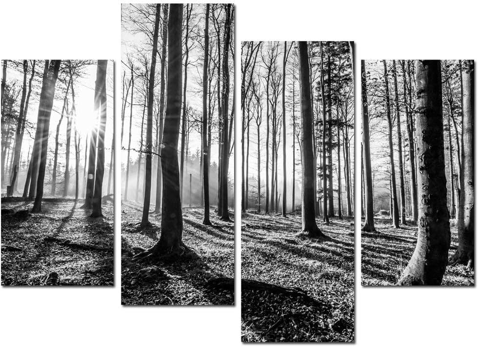 Best Nature Decor Living Room