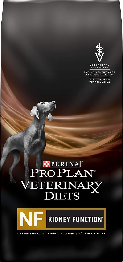 lizards that look like dragons