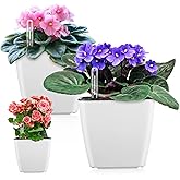 GS Garden Self Watering Planters for Indoor Plants : 5 inch 3 Pack White African Violet Self Watering Flower and Herb pots