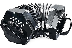 HAUKUIDT Accordion 20 Keys Buttons Concertina Musical Instruments Adjustable Hand Strap Accordion Musical Accessories With Carrying Bag Accordions for Adults