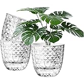 Etvski Self Watering Pots for Indoor Plants, Flower Pots, Self Watering Plant Pot-3pcs 6inch Clear