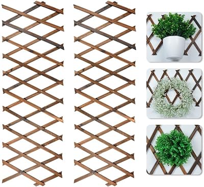 Toyosport Expandable Wooden Trellis Panels 2 Pcs Wall Garden Indoor Outdoor