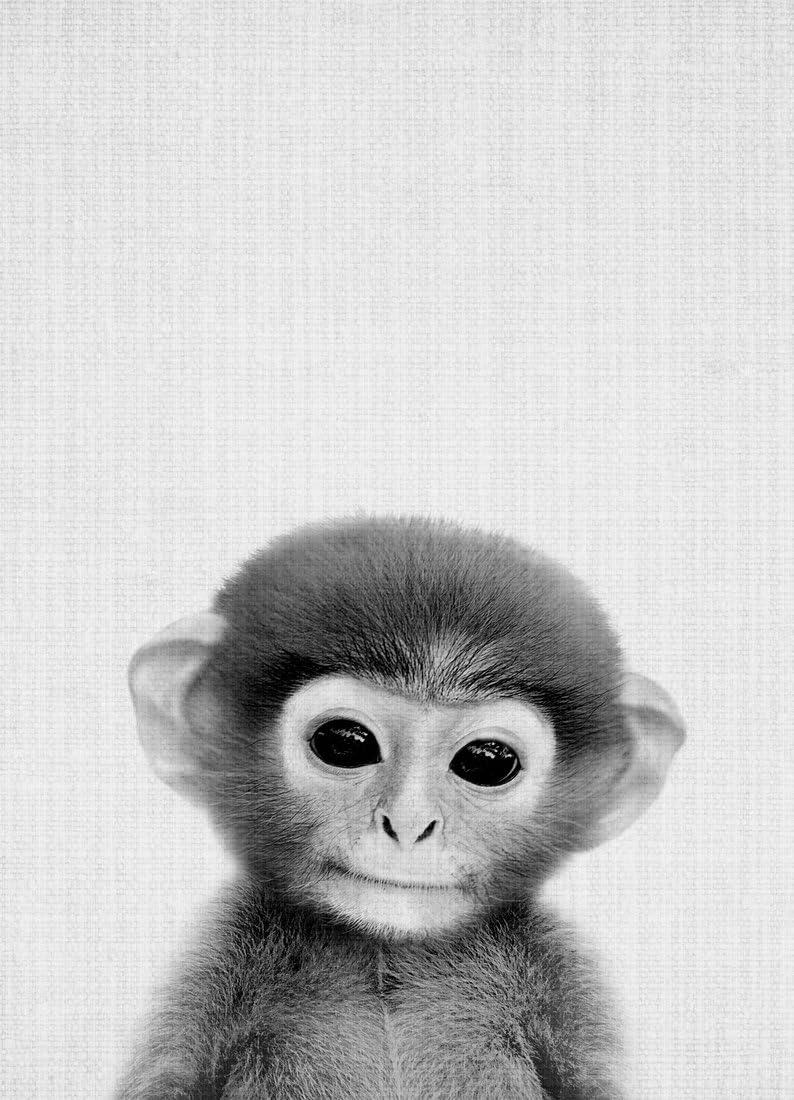 Juniqe® Canvas prints 20x30cm Black & White Monkeys - Design Print 267" (Format: Portrait) - Canvases, Pictures on canvas & Canvas art by independent artists - Animal prints - Designed by Lila x Lola
