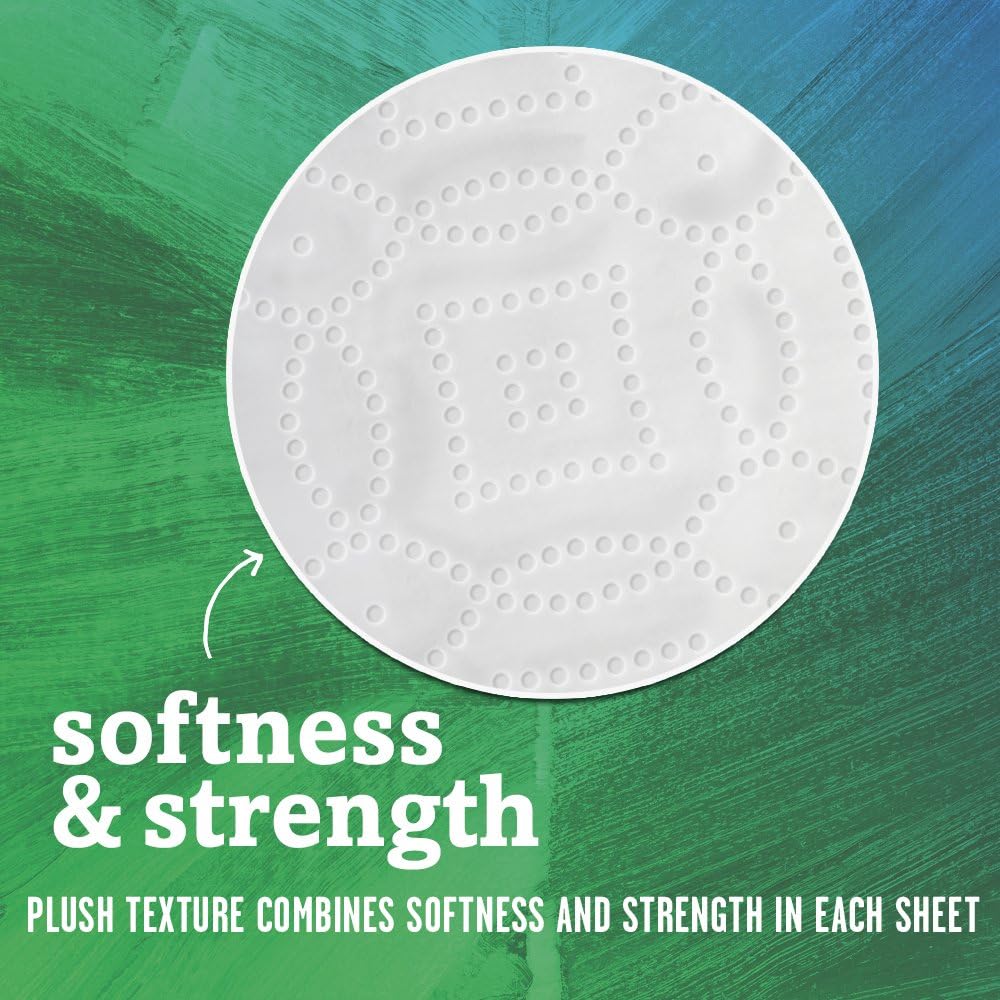 Seventh Generation Paper Towels, 100% Recycled Paper, 2-ply, 6 Roll, 2 Pack (12 Rolls): Health & Personal Care