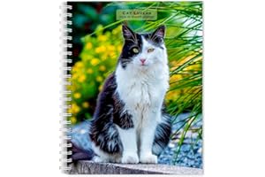 Cat Lovers | 2026 6 x 7.75 Inch Spiral-Bound Wire-O Weekly Engagement Planner Calendar | New Full-Color Image Every Week | BrownTrout | Animals Domestic Kittens Feline