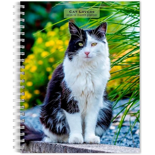 The Friendly Floppy Ragdoll Cat: Abridged and Revised