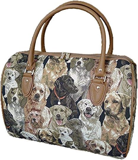 dog overnight bag