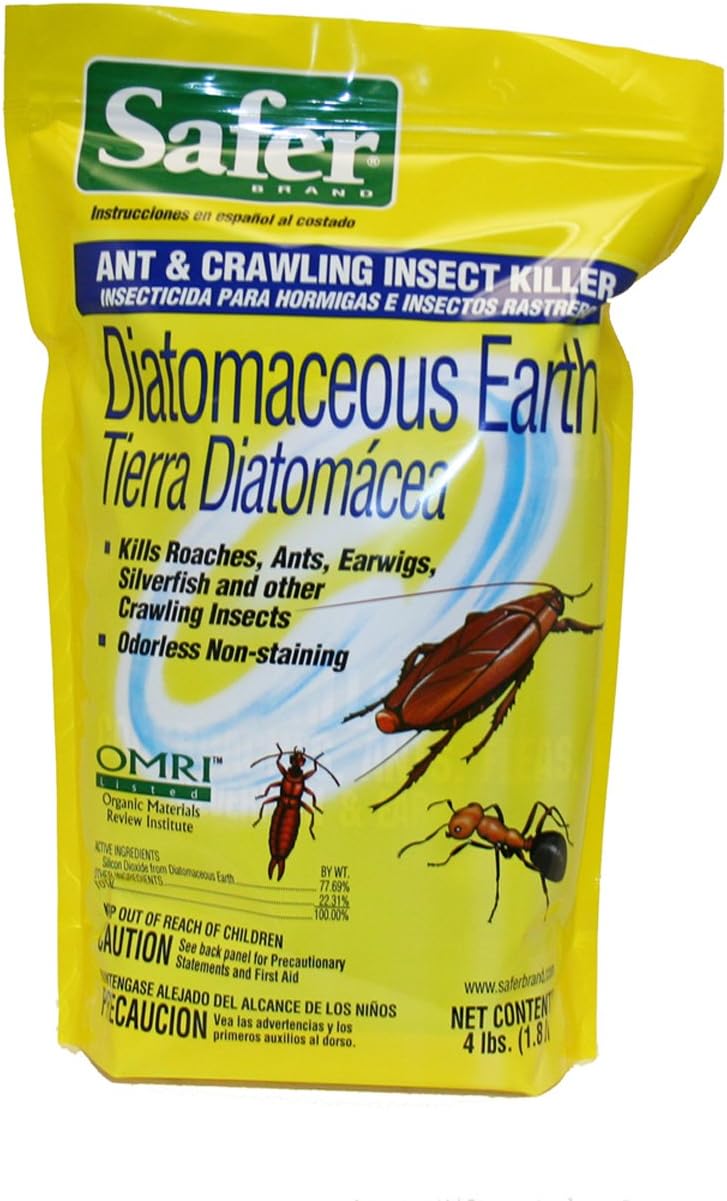 6 Best Bed Bug Powder: Diatomaceous Earth Bed Bugs Reviews