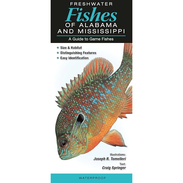 Types Of Fish In Alabama Types Of Freshwater Fish In Alabama