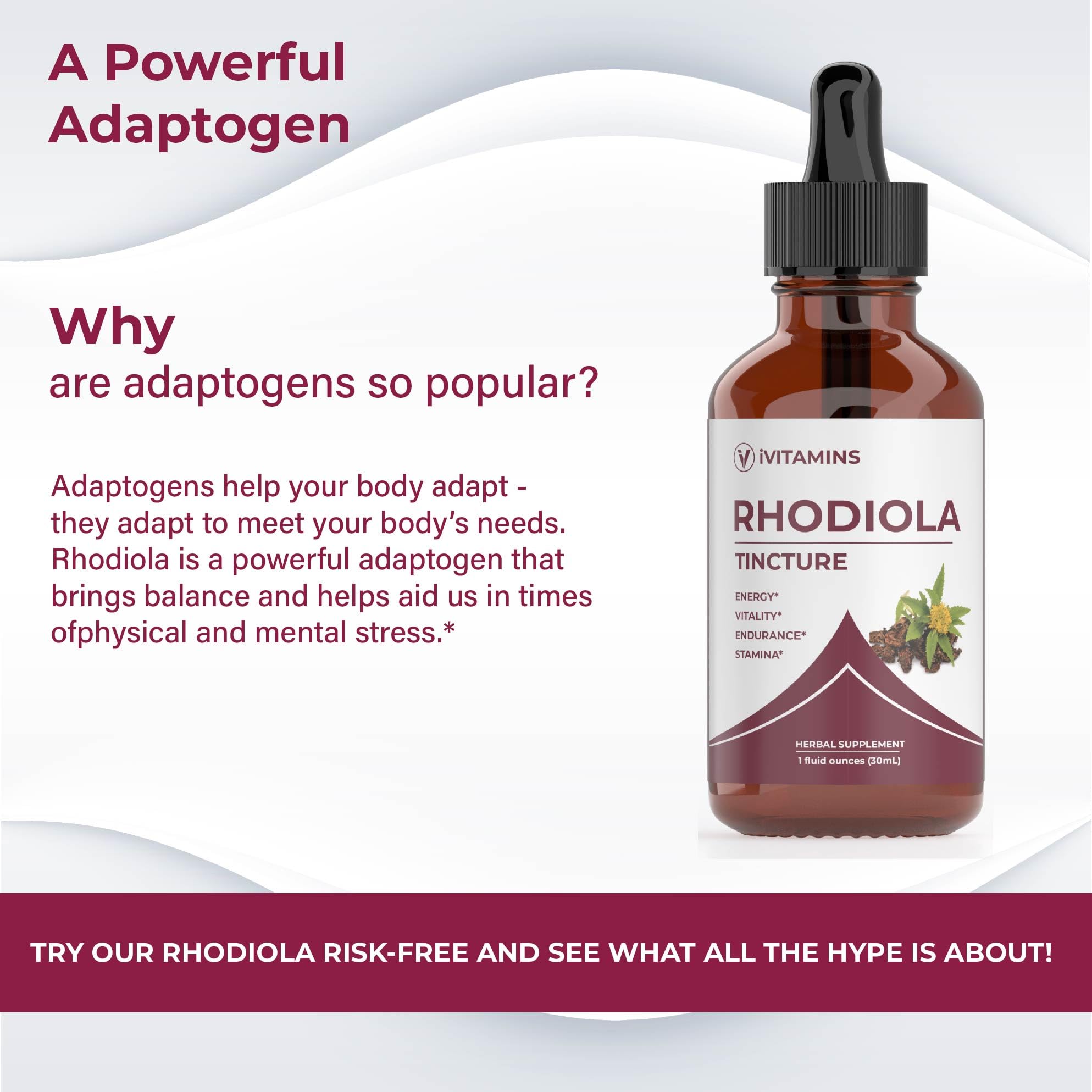 Rhodiola Rosea Tincture | Rhodiola | Rhodiola Extract | for Energy, Stamina, Cognitive Support & Much More | Energy Supplements | Rhodiola Tincture | Rhodiola Supplement - 1 fl oz