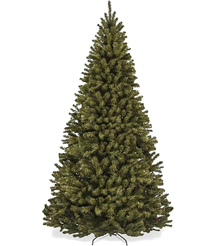 Amazon.com: ONCOR 5ft Eco-Friendly Black Forest Premium Christmas