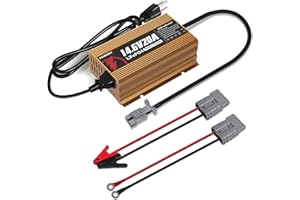 YOURHEEY 12V 20A Lithium Battery Charger, 14.6V Smart AC-DC Charger with Anderson Connector, LED Indicator, for Lithium Deep Cycle Batteries: ATVs,Forklifts, Boats, RVs, Floor Scrubbers, Electric Motorcycles
