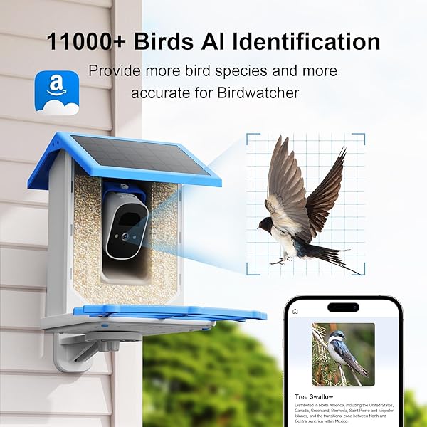 TREEBIRDY SMART BIRD FEEDER CAMERA – 4MP 2.5K FULL HD, 64G TF CARD INCLUDED, SOLAR POWERED WIRELESS, AUTO CAPTURE BIRD VIDEO & NOTIFY DETECTED BIRDS, AI IDENTIFY 11000+ BIRDS FEED WATCHING CAMERA