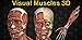Visual Muscles 3D