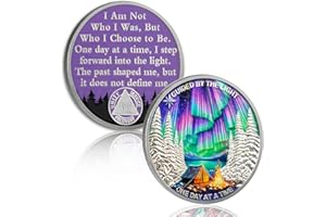 YRCKUDZKG Guided by Northern Lights 7 Year Sobriety Coin - One Day at a Time AA Coin, Alcohol Free Seven Year Recovery Chip with Token Capsule, Sobriety Gifts for Men Women