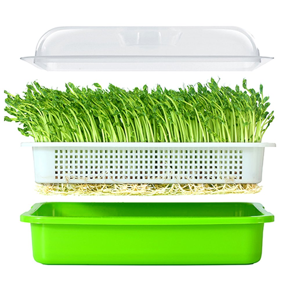 Seed Sprouter Tray Wheatgrass Grower Multifunction Soya Mung Peanut