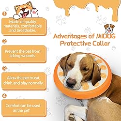 MIDOG Inflatable Dog Cone Collar Alternative After