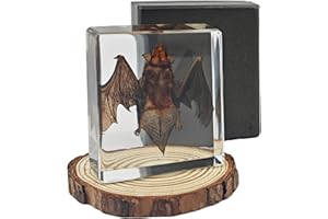 Artojoy Taxidermy Bat, Real Bat Specimens Animal Specimen Preserved in Resin, Gothic Decor Display for Science Classroom Science Education, Gift for Fans of Taxidermy, Oddities, Biology