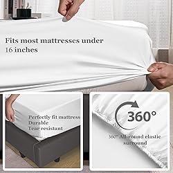 Whitney Home Textile Queen Size Sheet Set - Rayon