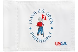 COGOLFING Golf Flag Mini, 8x6 Inch, Dual-Layer Silk-Printed, Fade-Resistant 420D Nylon, Tube Insert, Ideal for Backyard Practice Putting Green