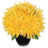 Hollyone Artificial Mums Flowers in Vase Faux Chrysanthemum Silk Flowers Potted Plant Fake Plants & Flowers with Pot Floral Arrangements Bouquets Pincushion Spider Mum Flower Home Decor Yellow
