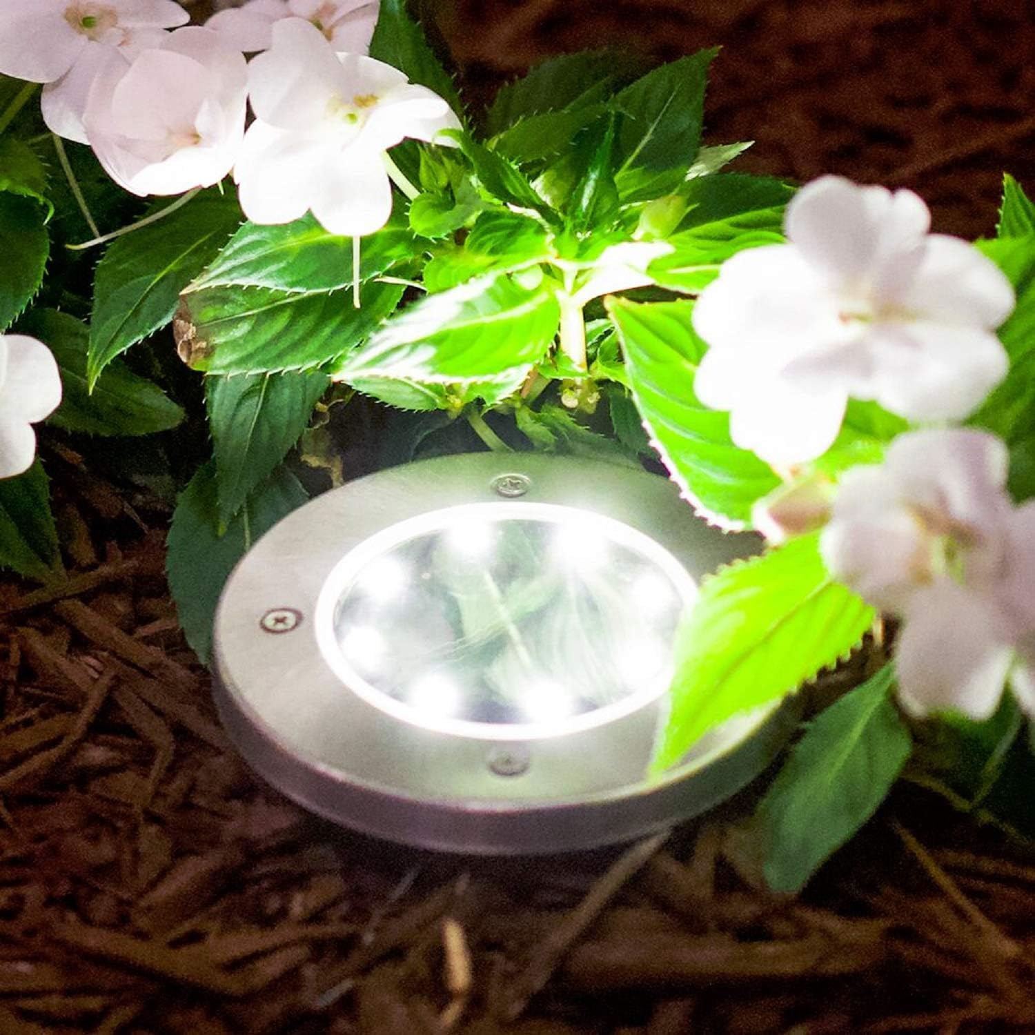 BRIGHTRIGHT - Outdoor Solar Disk Lights (4-Pack) 8 White LED, Waterproof Landscape Lighting for Yard, Garden, Patio, Lawn, Deck, Pathway, Driveway - Dusk to Dawn - - 