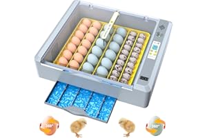 VIOPUMPO 36 Eggs Incubator for Hatching Chicken/Goose/Quail/Duck/Turkey Eggs, 360° View Incubator with Automatic Egg Turning/Humidity Control/Low Humidity Alarm/Adjustable Tray, for Beginner/Farm/Teaching/Home