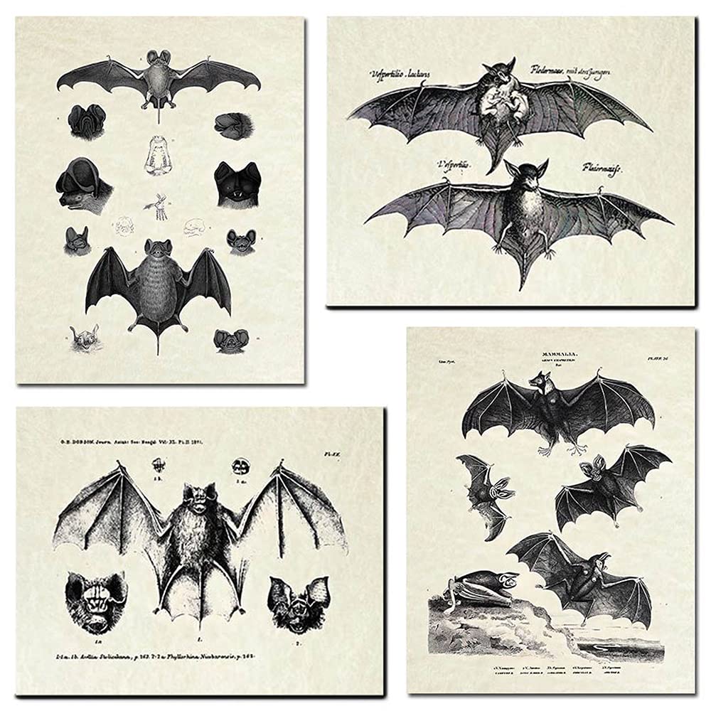 KIHOARL 4 Pcs Bats Wall Decor Bats Wall Art Canvas Print,Vintage Retro Hipster Gothic Wall Decor Goth Art Gothic Gifts Creepy Scary Anatomical Picture Poster for Home Living Room Bedroom Office