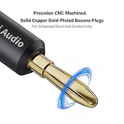 Fosi Audio Banana Plugs for Speaker Wire, 2 Pairs/4