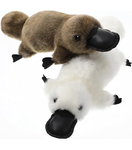 Toy Peluche Ornitorinco PELUCHE ORNITORRINCO PARA RELLENAR CON