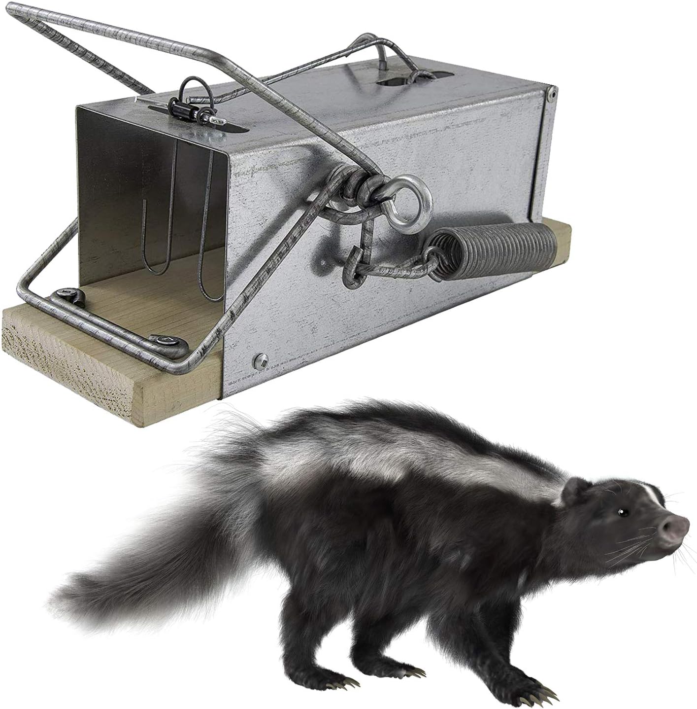 Amazon.com : Ouell Traps 4-11 | Snap trap, Spring trap, Deadly trap