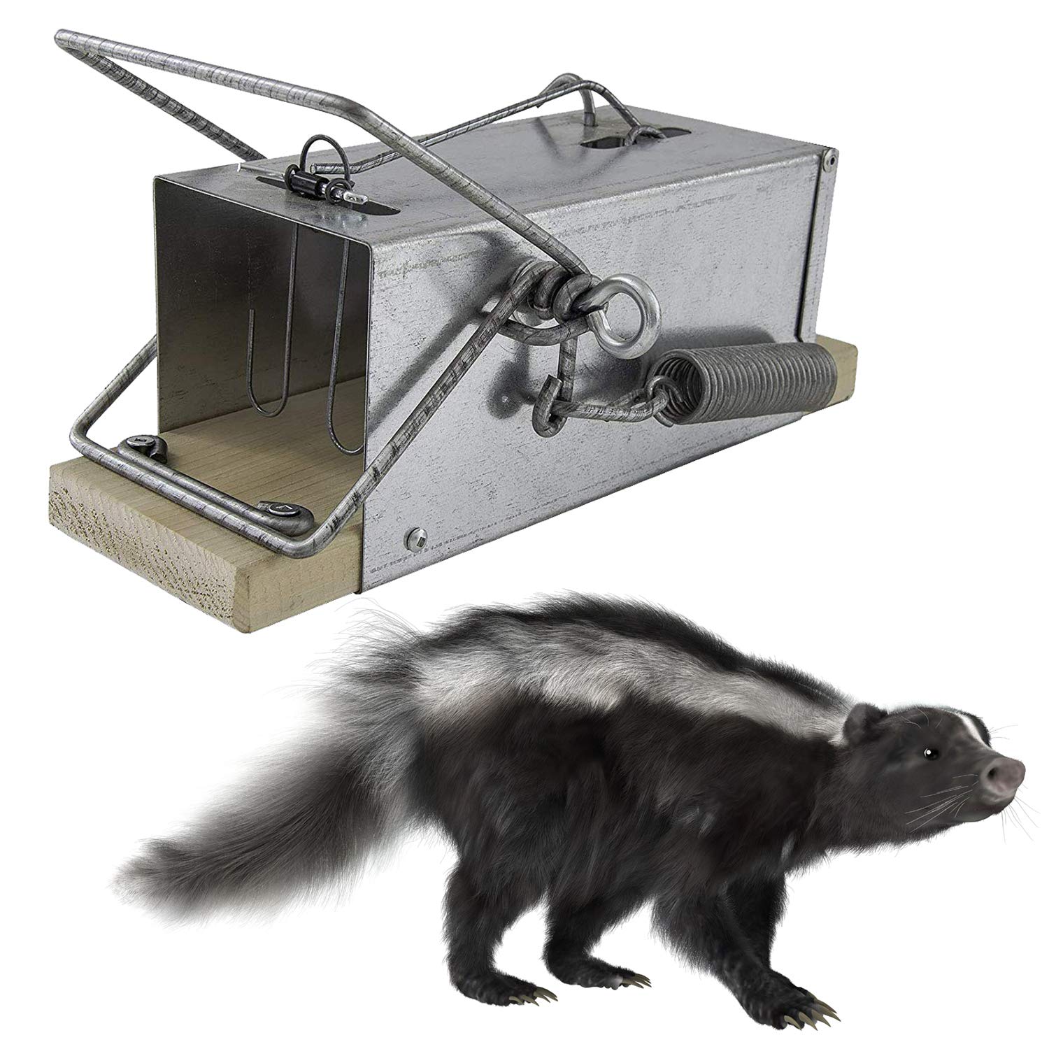 OUELL 411 Snap trap, Spring trap, Deadly trap, Killing trap, Metal trap, Human trap Weasel