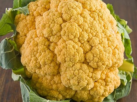 Golden Hills Farm Cauliflower F1 Hybrid Yellow Variety Vegetable Seeds -500 Seeds