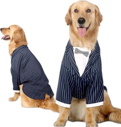 Wedding clothes for dogs Clearance