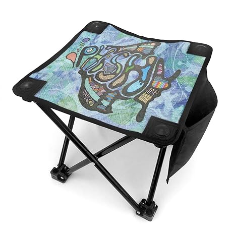 Amazon Com Phish Fish Rock Music Logo Camping Stool Easy