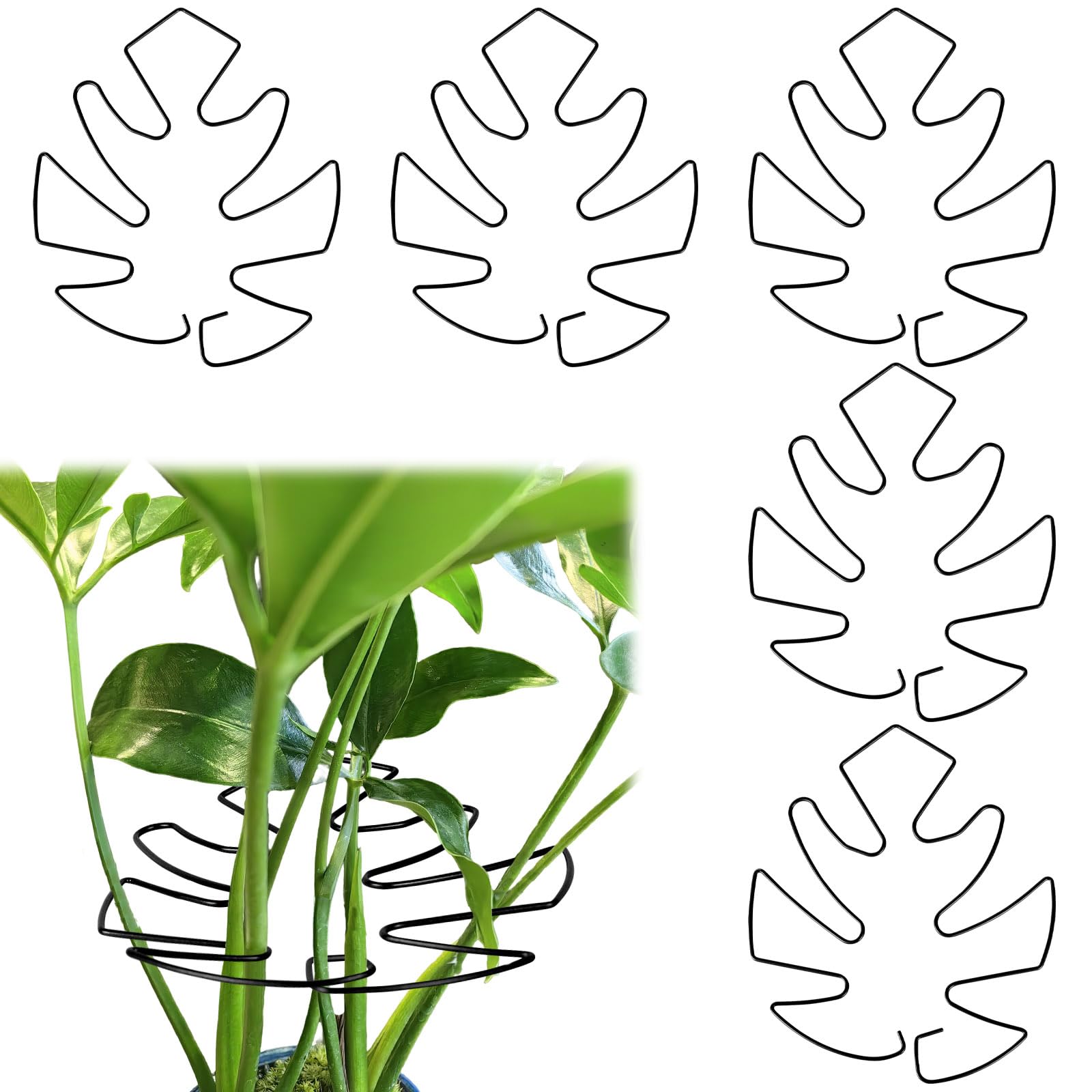 Fnaobai 5 PCS Plant Stem Holder Support Turtle Shell Bamboo Clam Set for Climbing Plants Indoor Monstera Leaf Plant Support Accessories for Outdoor Gardens Keeps Plants Thriving Growth (Black)