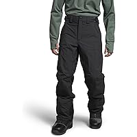 アメリカサイズ　Freedom Pants THENORTHFACE Amazon.com : The North Face Men's Freedom Stretch Pant, S Regular