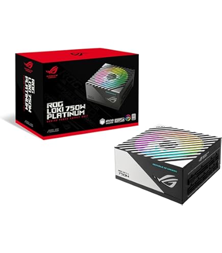 Amazon.com: Corsair SF1000 (2024) Fully Modular Low Noise 80 Plus