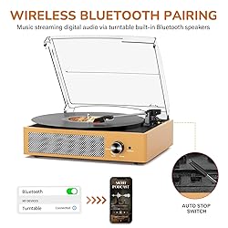 Vinyl Record Player with 2 Stereo Speakers