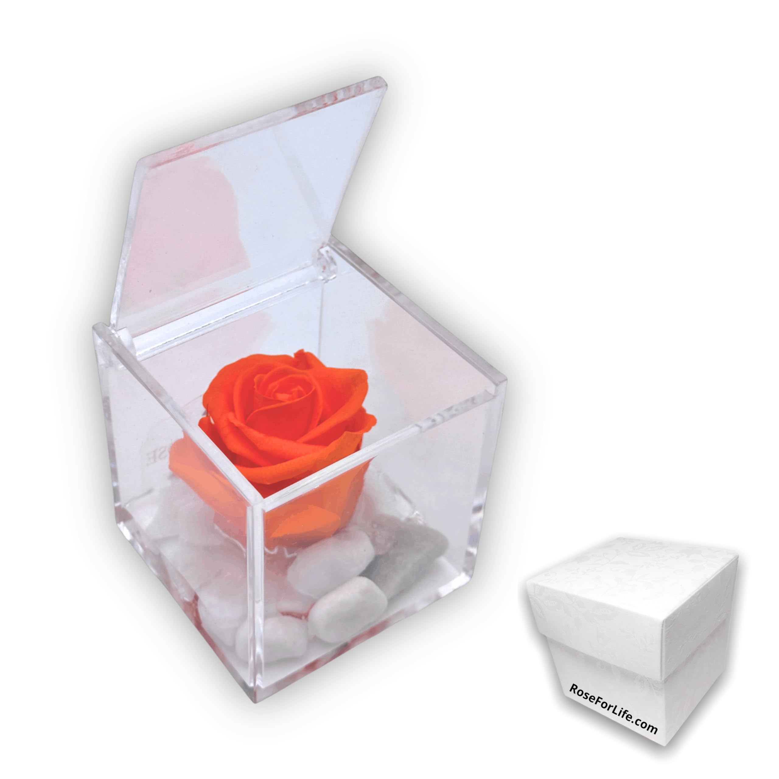 A 1056 Rose Cube Stabilized Orange 5cm 5x5x5 Fragrant, The Cube with A Real Rose That Lasts Even More Than 5 Years, Premium-Rose