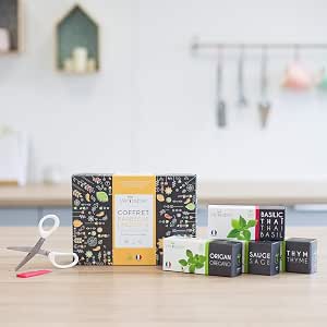 VERITABLE - Set de regalo 4 Lingots - Compatible con todos los ...