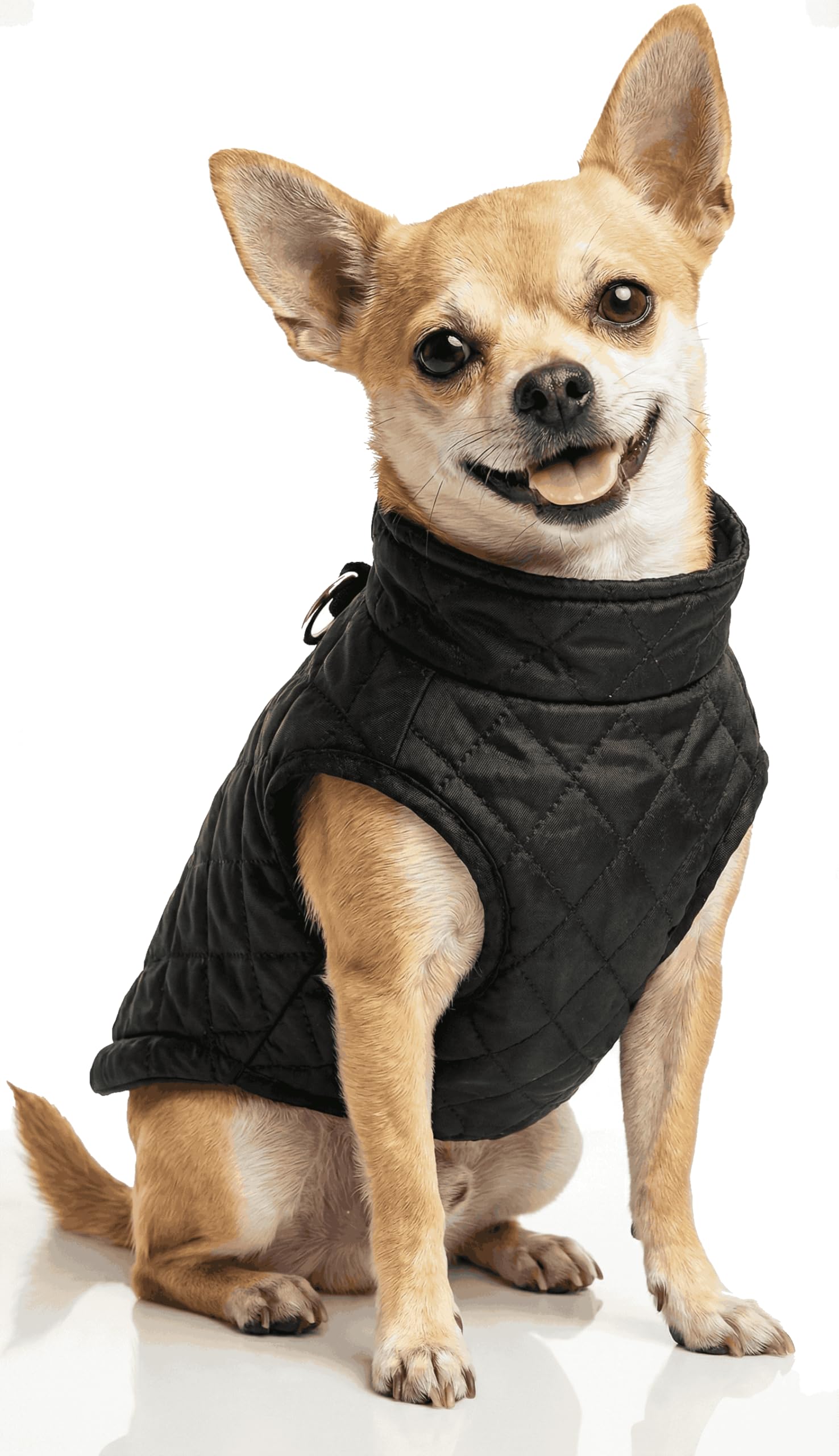 Small Dog Coats Warm Winter Coat Pet Dog Jackets Waterproof Clothes for Small Medium Dogs Boy