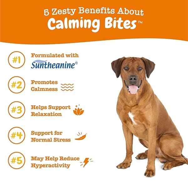 ZESTY PAWS CALMING CHEWS FOR DOGS – FOR EVERYDAY STRESS, RELAXATION, COMPOSURE, AND SEPARATION TURKEY 90 COUNT