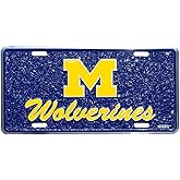 Hangtime University of Michigan - Michigan Wolverines Mosaic License Plate